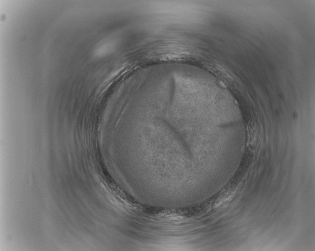 X0000061150648200512092000