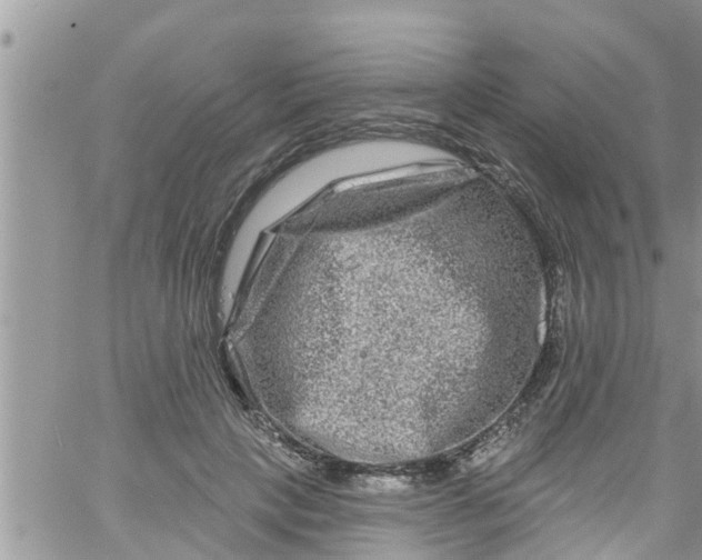 X0000061150649200512092000