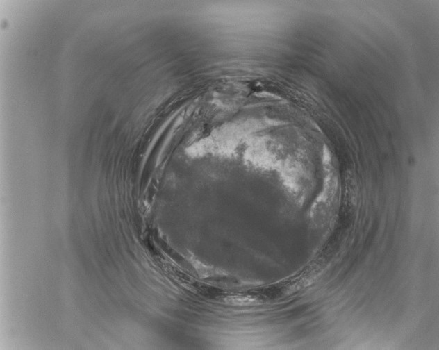 X0000061150650200512092000