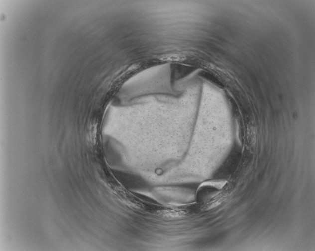 X0000061150652200512092000