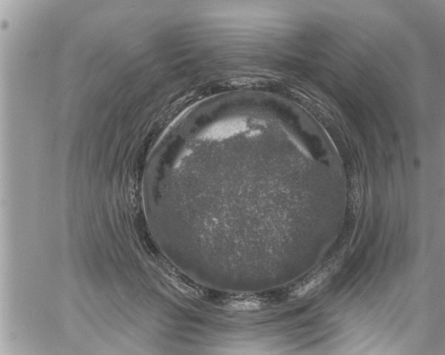 X0000061150653200512092000