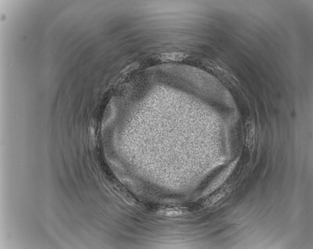 X0000061150655200512092000