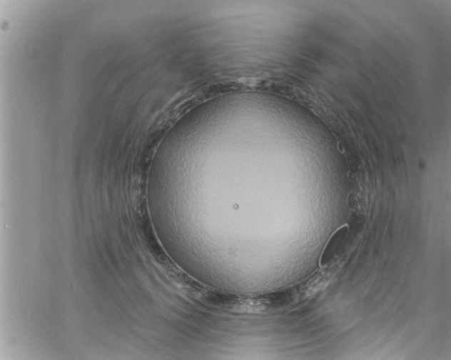 X0000061150656200512092000