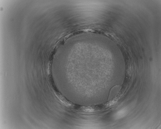 X0000061150658200512092000