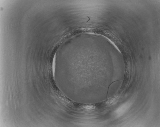 X0000061150659200512092000