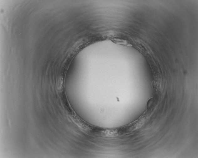 X0000061150660200512092000