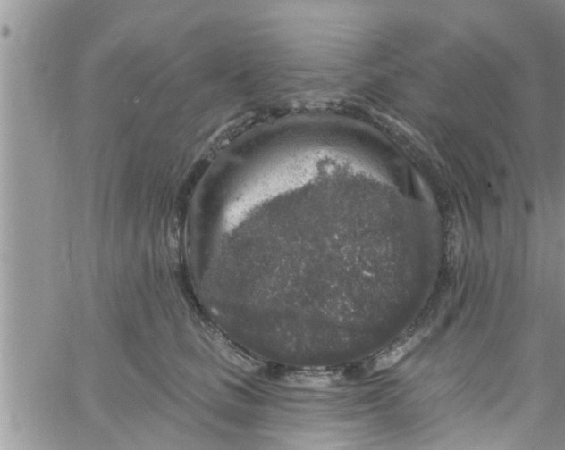 X0000061150661200512092000