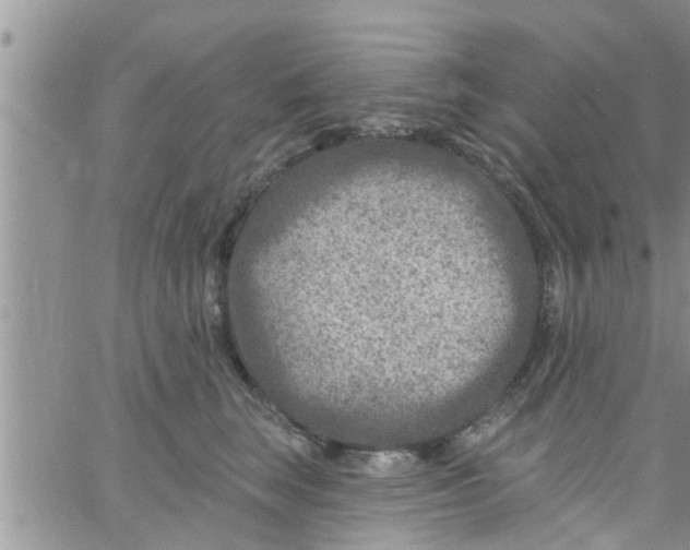 X0000061150663200512092000