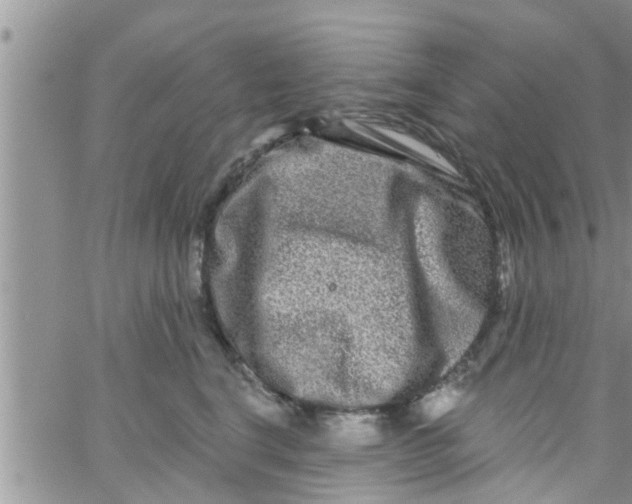 X0000061150664200512092001