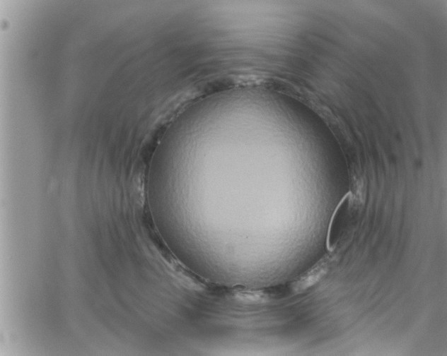 X0000061150666200512092001