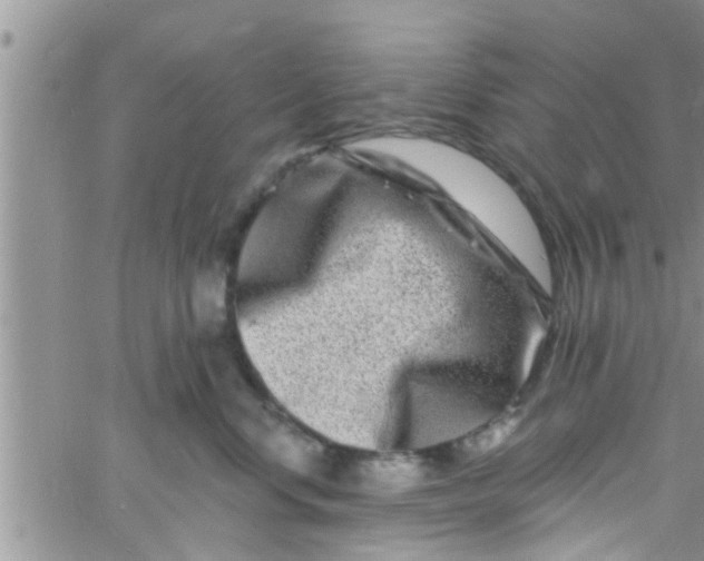 X0000061150668200512092001