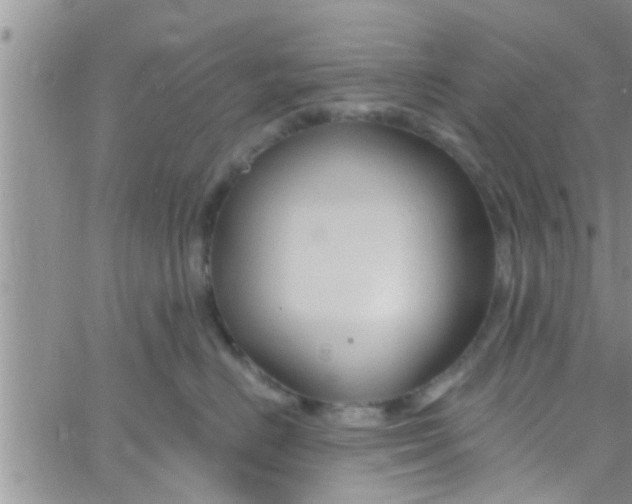 X0000061150670200512092001