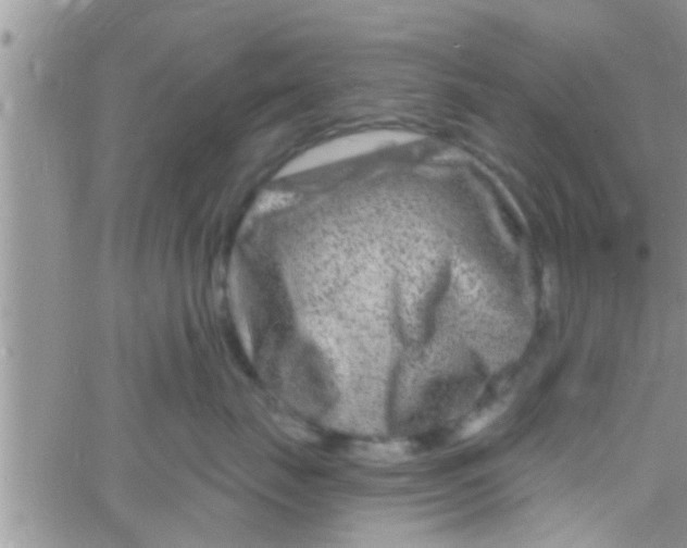 X0000061150671200512092001