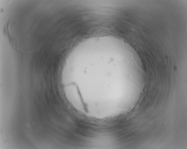 X0000061150672200512092001