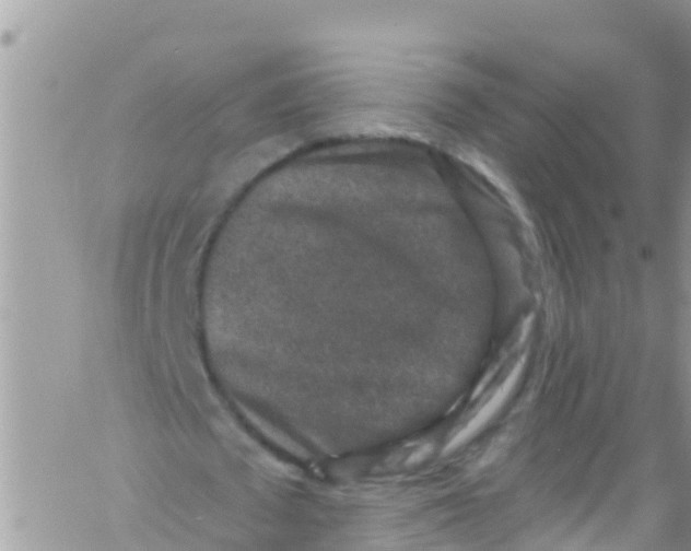 X0000061150673200512092000