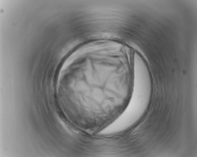 X0000061150674200512092000