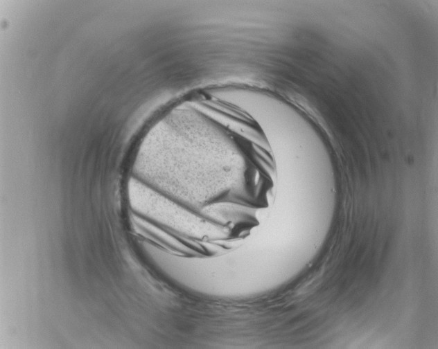 X0000061150676200512092000