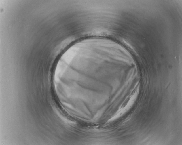 X0000061150678200512092000