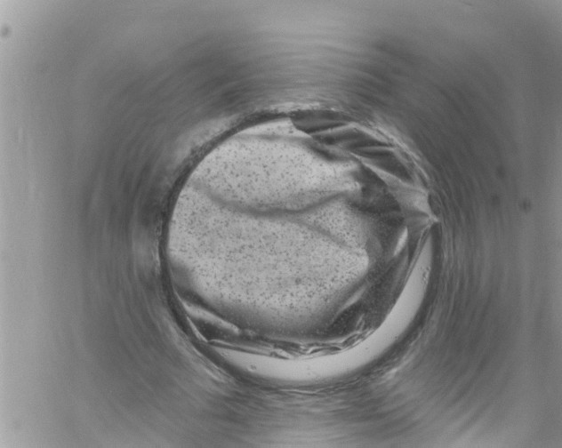 X0000061150681200512092000