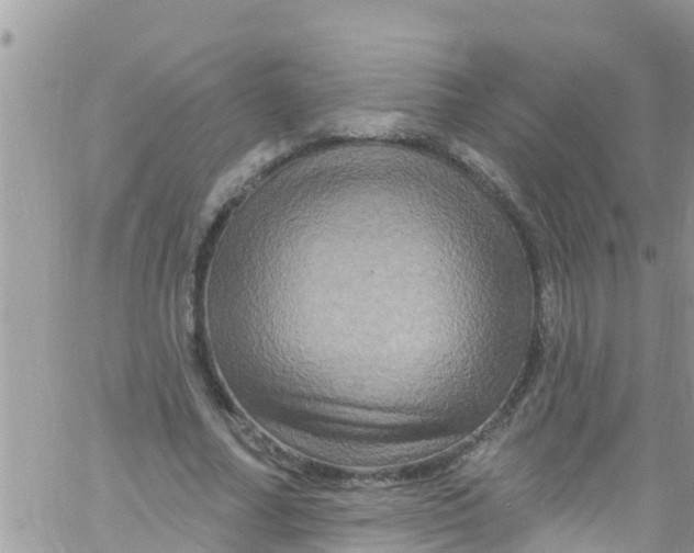 X0000061150682200512092000