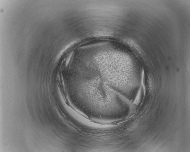 X0000061150684200512092000