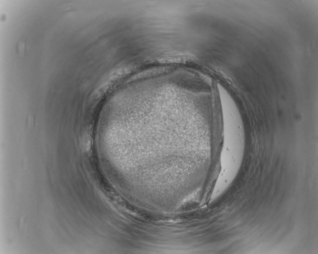 X0000061150687200512092000