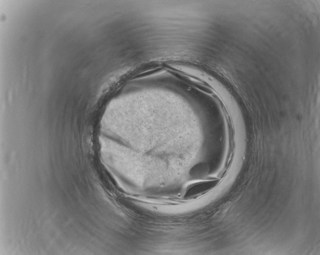 X0000061150688200512092000