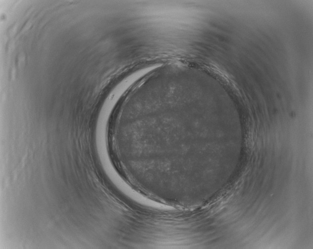 X0000061150689200512092000