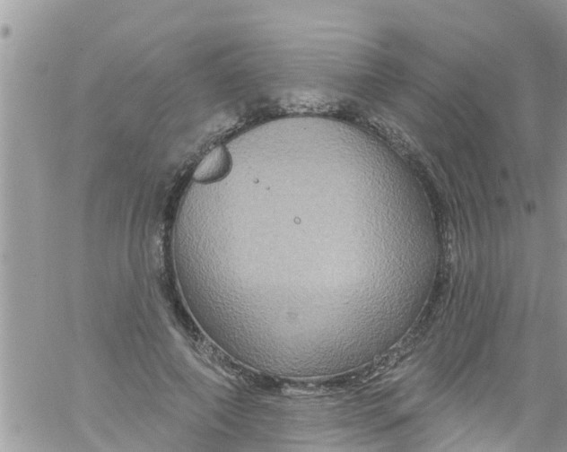 X0000061150690200512092000