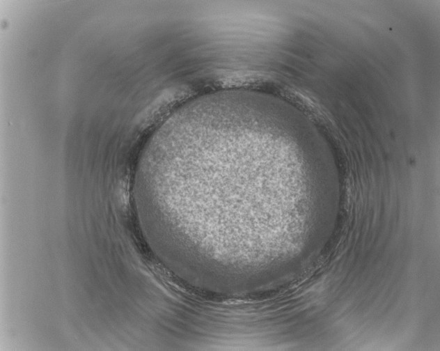 X0000061150691200512092000