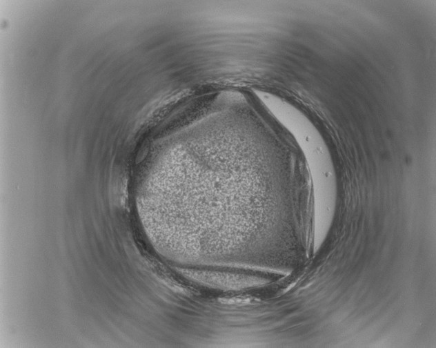 X0000061150693200512092000