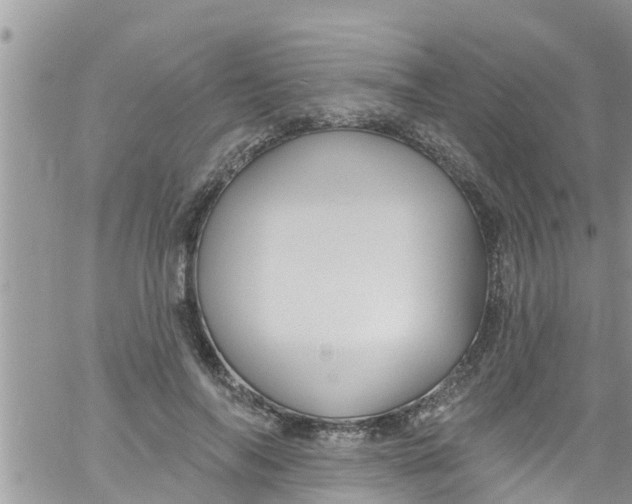 X0000061150694200512092000