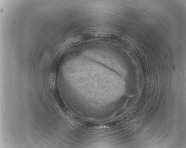 X0000061150695200512091959