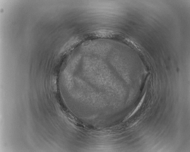 X0000061150696200512091959