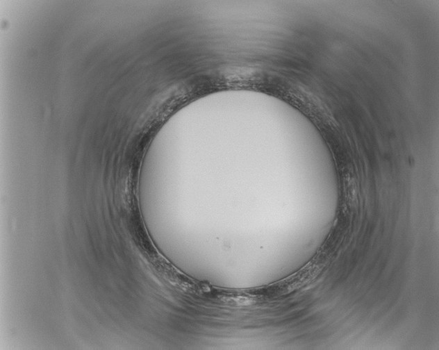 X0000061150698200512091959