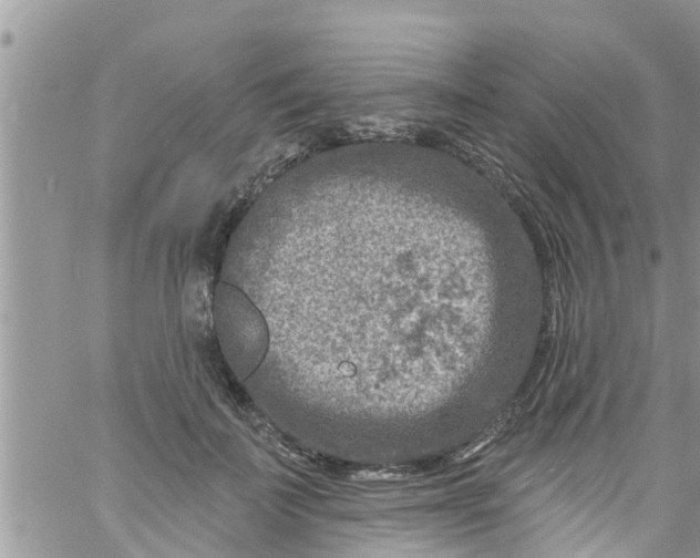 X0000061150699200512091959