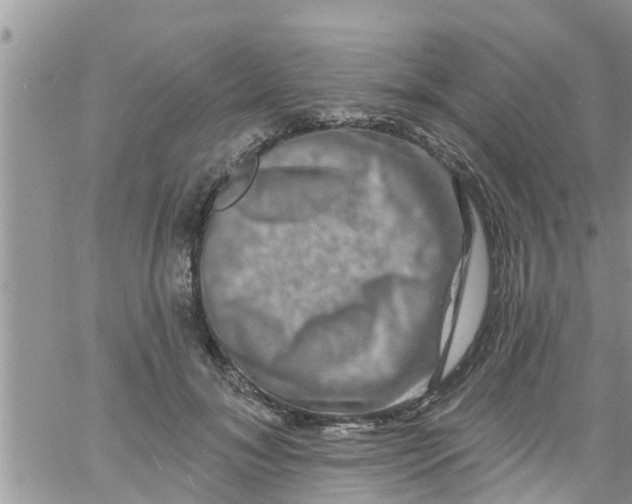 X0000061150700200512091959