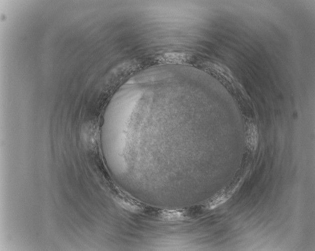 X0000061150701200512091959