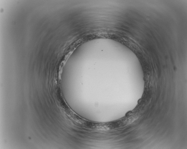 X0000061150702200512091959