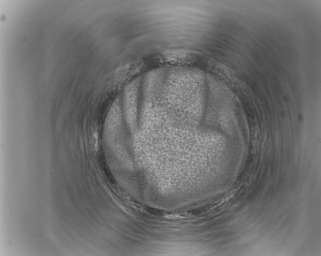 X0000061150703200512091959