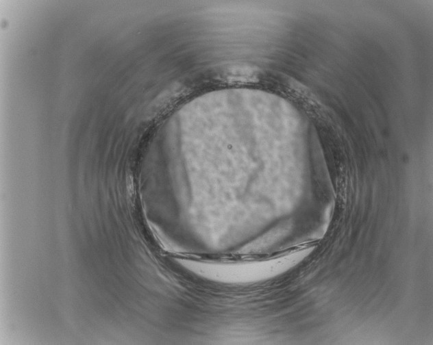 X0000061150704200512091959