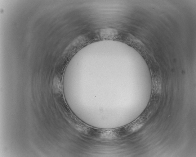 X0000061150705200512091959