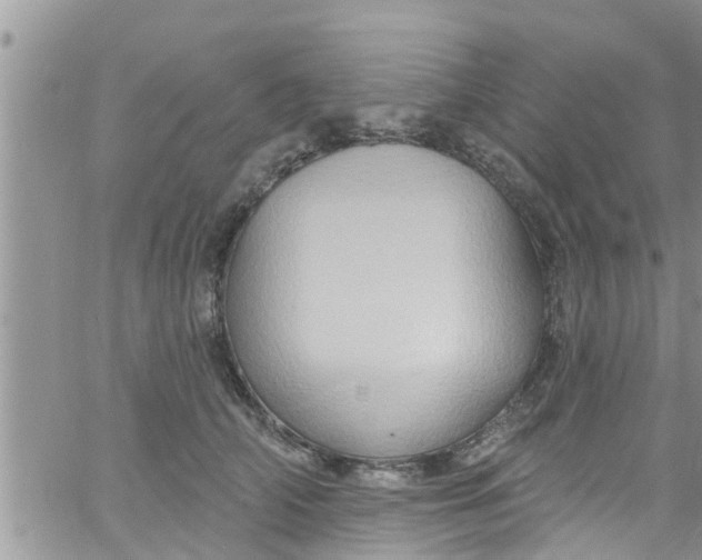 X0000061150706200512091959