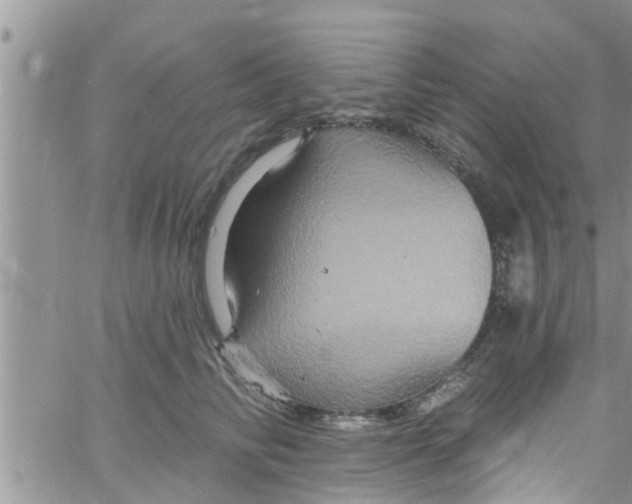 X0000061150710200512091959