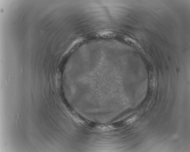 X0000061150712200512091959