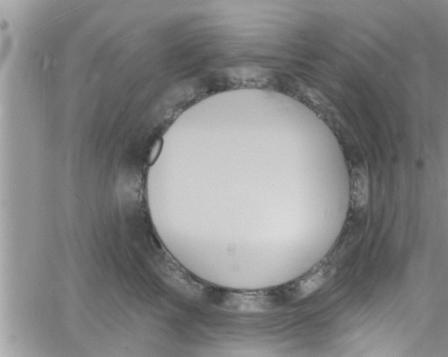 X0000061150713200512091959