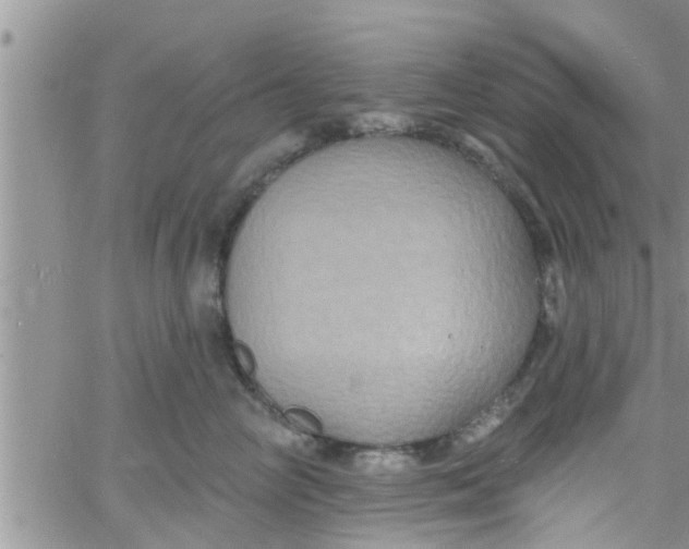 X0000061150714200512091959