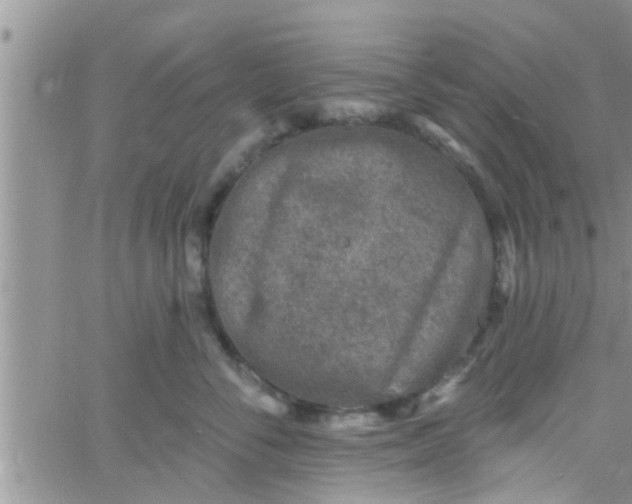 X0000061150716200512091959