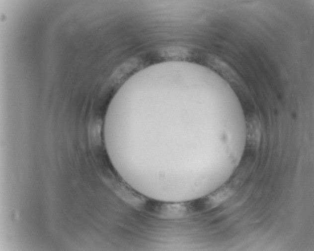 X0000061150717200512091959