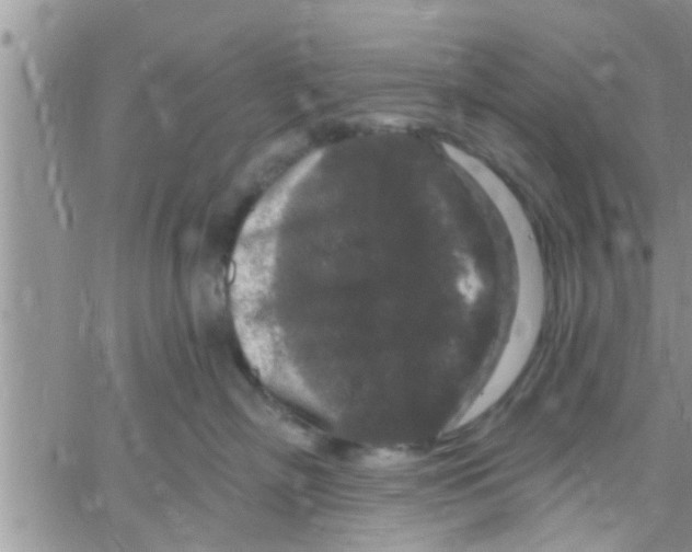 X0000061150718200512091959